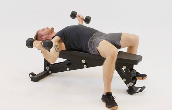 تمرين التفتيح أو Dumbbell Fly