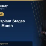 Hair Transplant Stages: The Month-by-Month Timeline