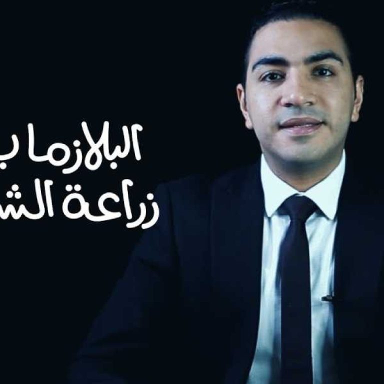 جلسات البلازما